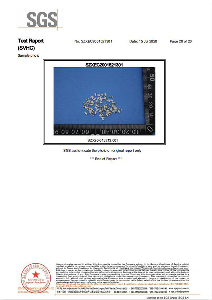 一次性保險絲REACH認證20